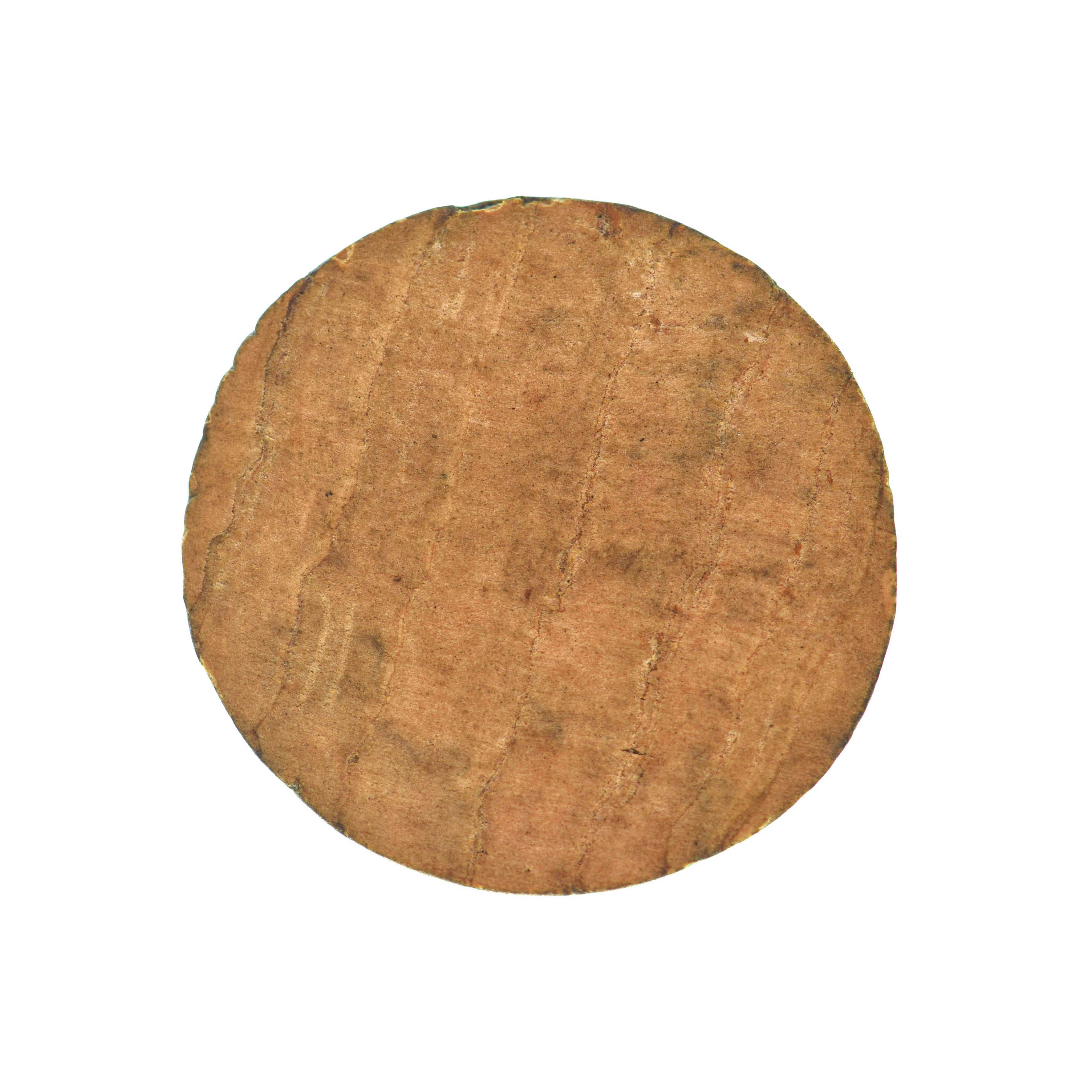 Hemlock Stork's-Bill